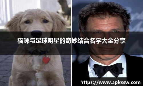 猫咪与足球明星的奇妙结合名字大全分享